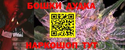МДПВ Сланцы