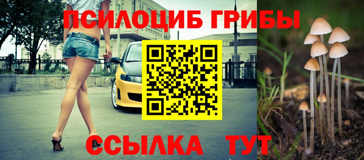 Рубцовск  Псилоцибиновые грибы ЛСД  Вход с VPN 