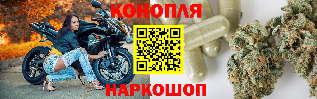 Бошки Шишки конопля Рубцовск